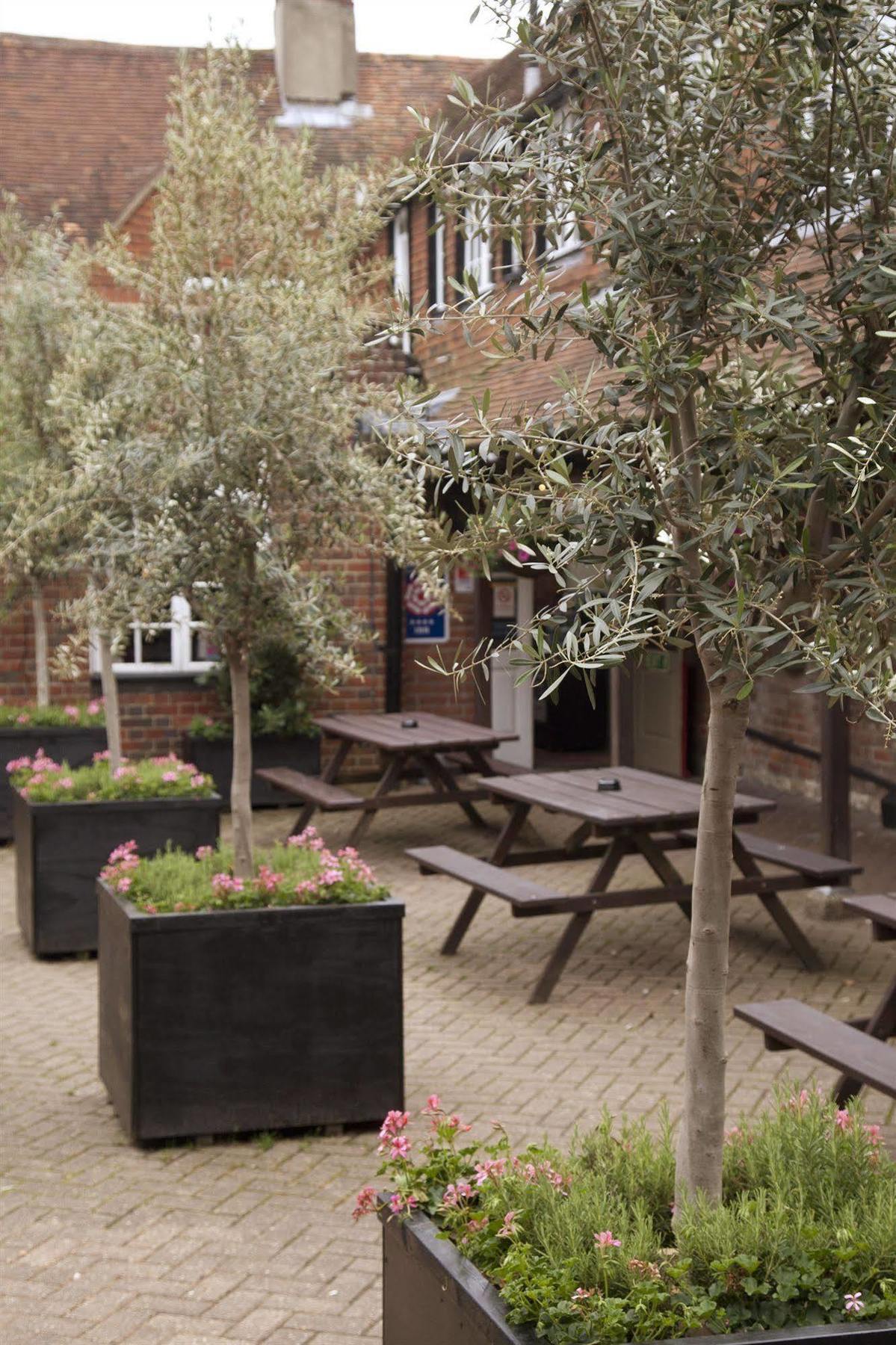 The Dog & Bear Hotel Lenham Exterior photo